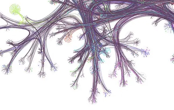 A simplified network of links from the English Wikipedia network. Credit: Dale Zhou